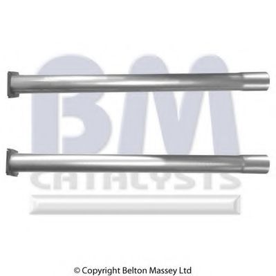 BM CATALYSTS BM50287