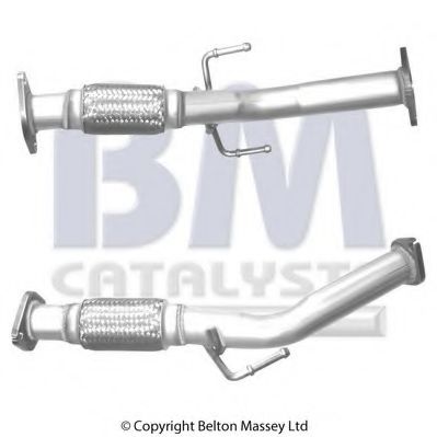 BM CATALYSTS BM50381