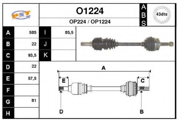 SNRA O1224