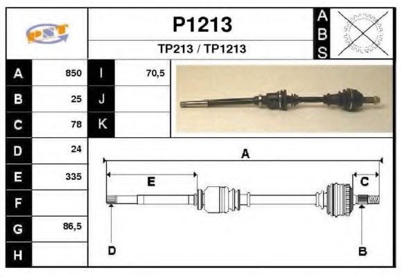 SNRA P1213