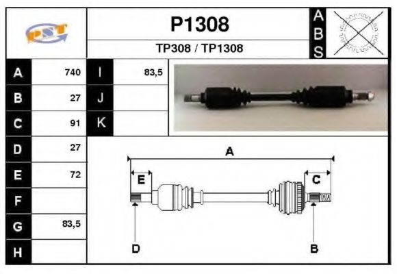 SNRA P1308