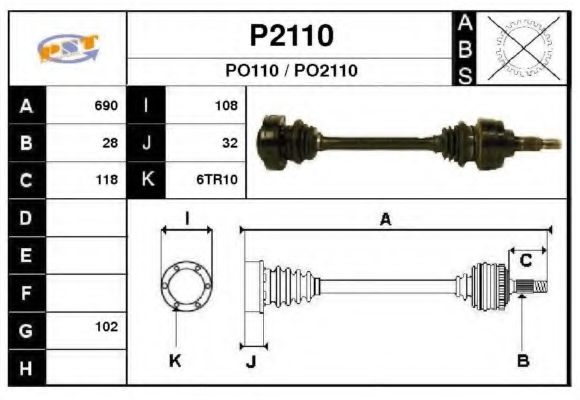 SNRA P2110