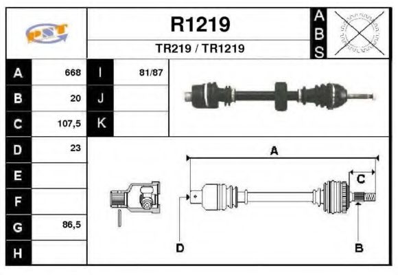 SNRA R1219