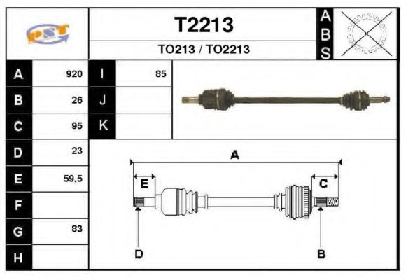 SNRA T2213