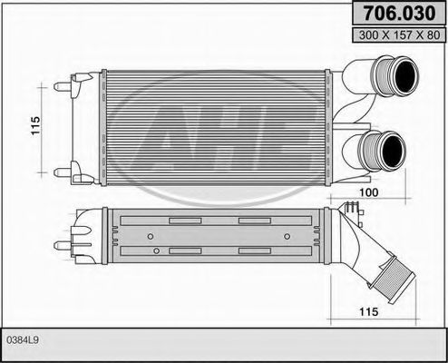 AHE 706.030