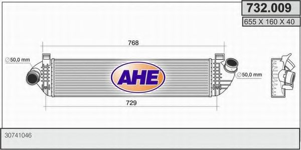 AHE 732.009