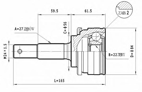 STATIM C.504