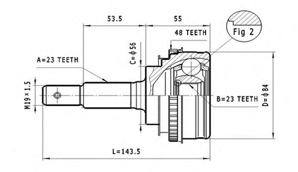 STATIM C.568