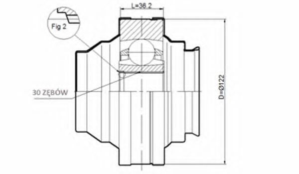 STATIM CW.044