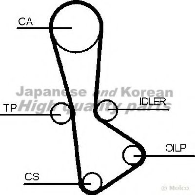 ASHUKI 0336-3402