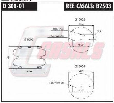 CASALS B2503