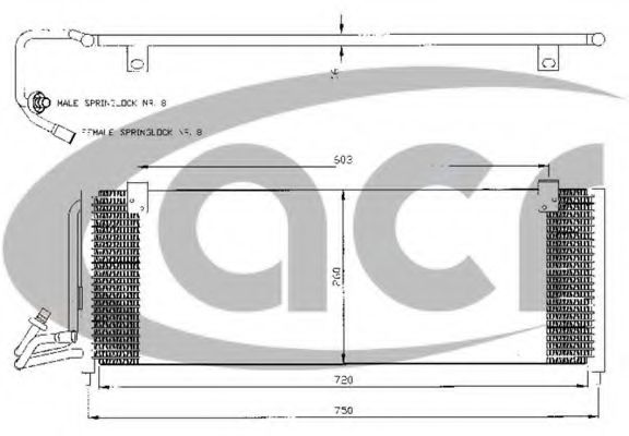 ACR 300466