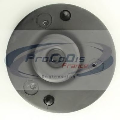 PROCODIS FRANCE PCM451