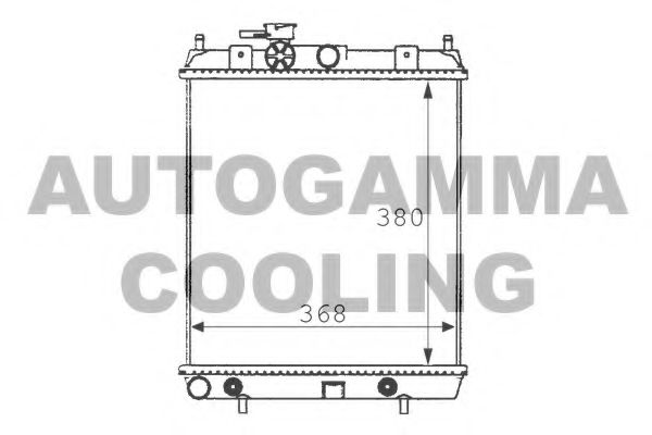 AUTOGAMMA 100628