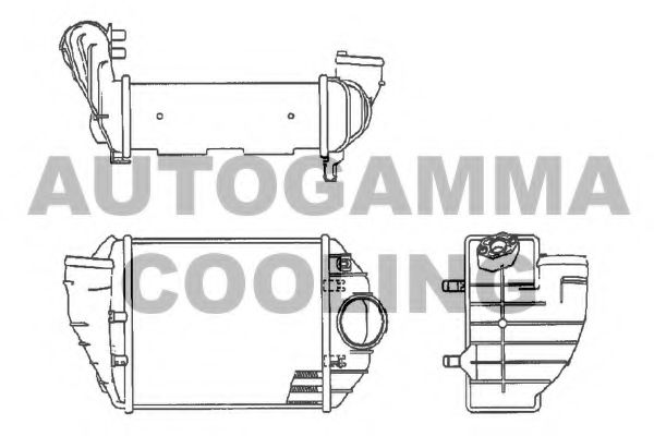 AUTOGAMMA 102535