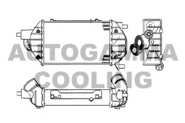 AUTOGAMMA 105560