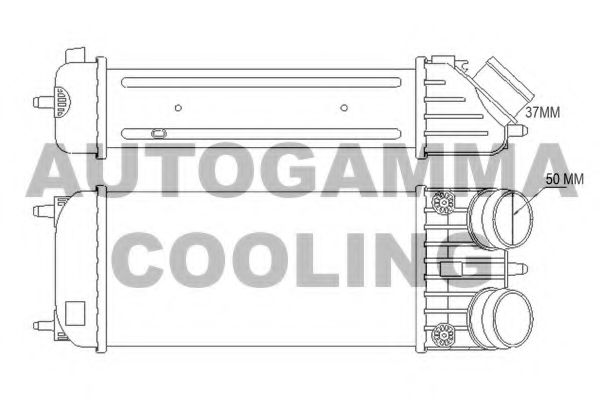 AUTOGAMMA 105775