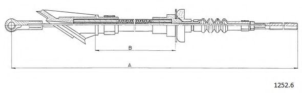 CABOR 1252.6