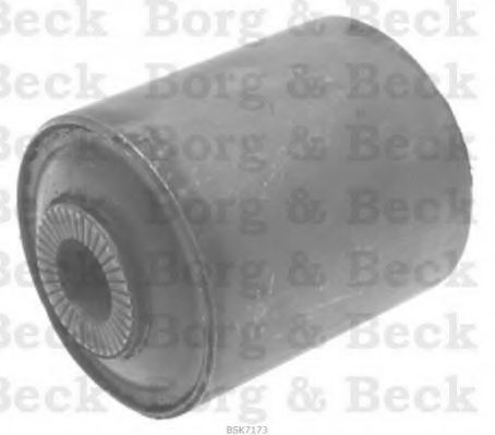 BORG & BECK BSK7173