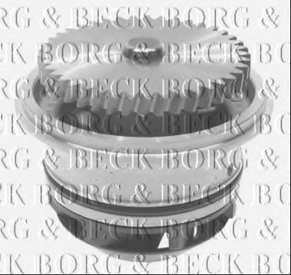 BORG & BECK BWP2110