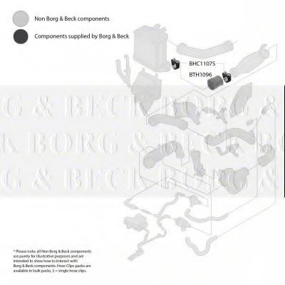 BORG & BECK BTH1096