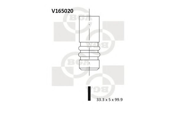 BGA V165020