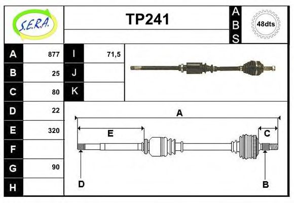 SERA TP241