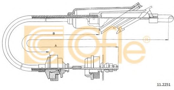 COFLE 11.2251