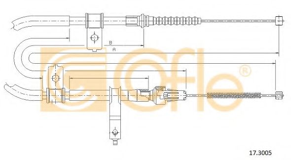 COFLE 17.3005