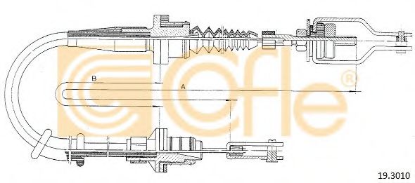 COFLE 19.3010