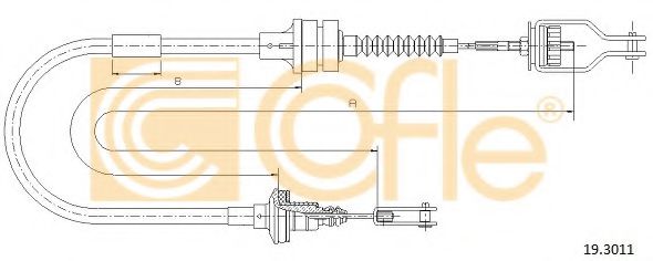 COFLE 19.3011