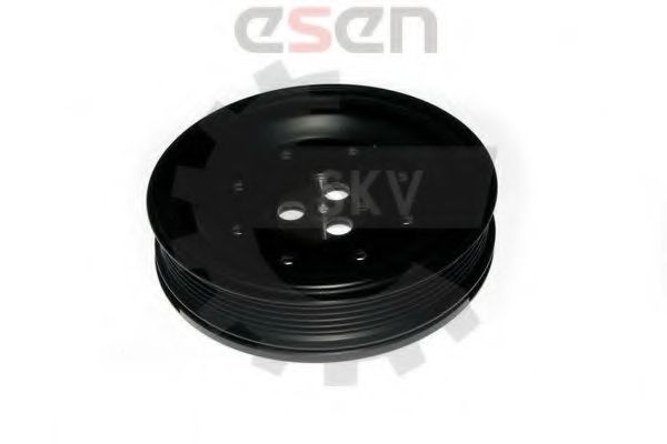 ESEN SKV 95SKV318