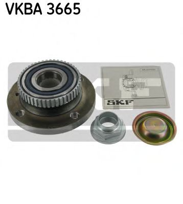 SKF VKBA 3665