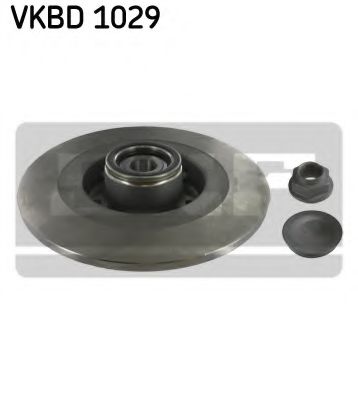 SKF VKBD 1029