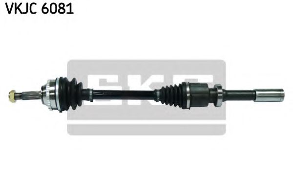 SKF VKJC 6081