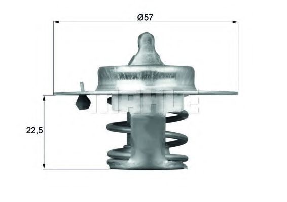 BEHRTHERMOTTRONIK TX 60 83D