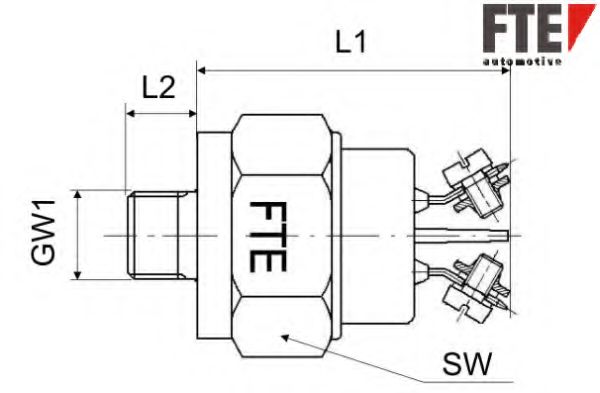 FTE H0052