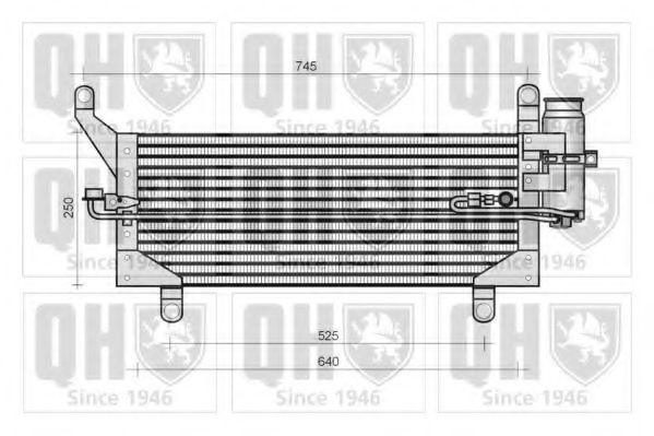 QUINTON HAZELL QCN100