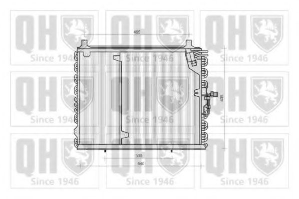 QUINTON HAZELL QCN113