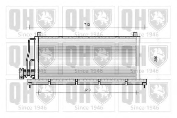 QUINTON HAZELL QCN121