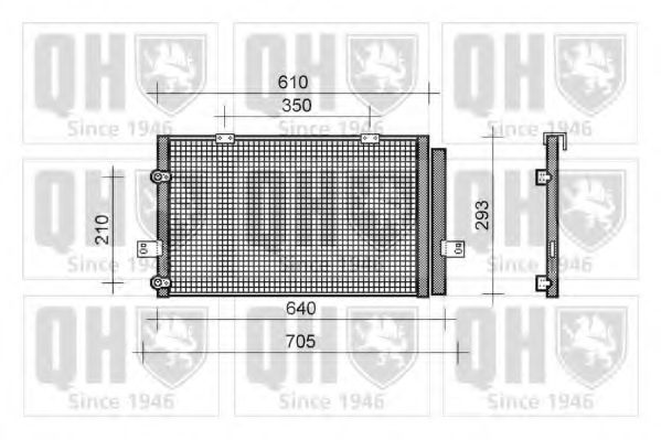 QUINTON HAZELL QCN204