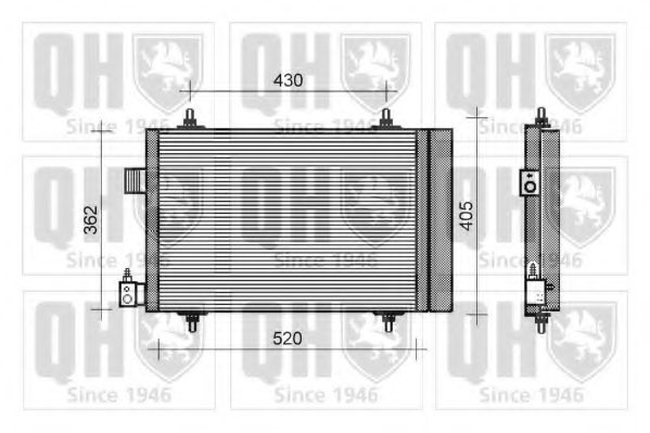 QUINTON HAZELL QCN218