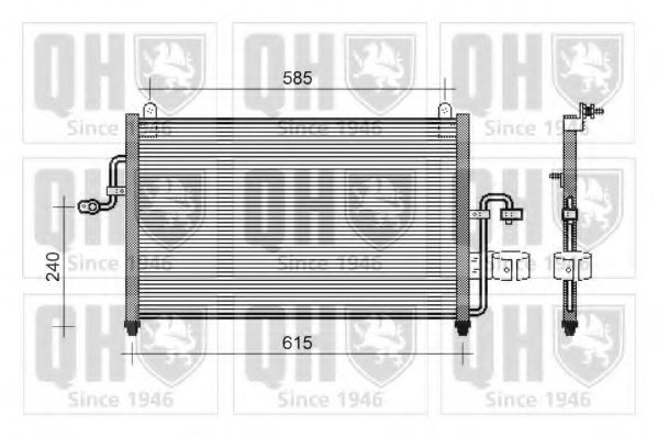 QUINTON HAZELL QCN234