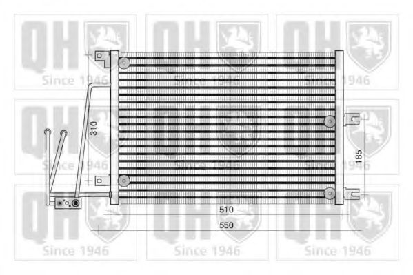 QUINTON HAZELL QCN312