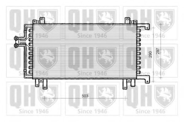 QUINTON HAZELL QCN32