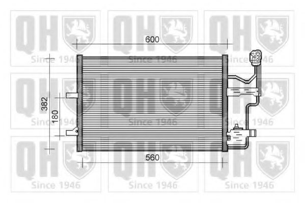 QUINTON HAZELL QCN393