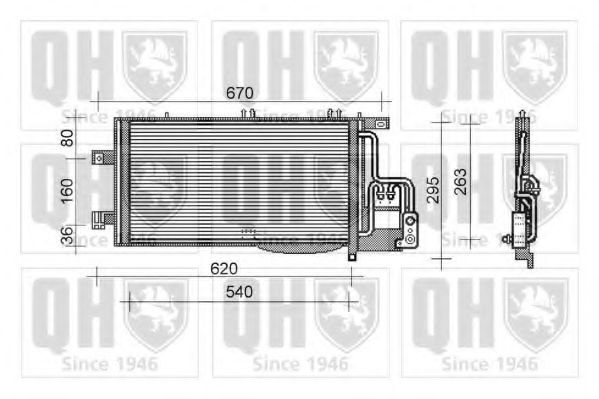 QUINTON HAZELL QCN404