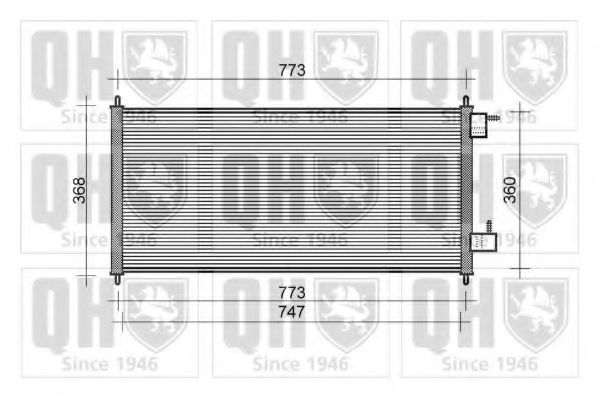 QUINTON HAZELL QCN426