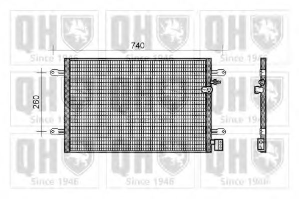 QUINTON HAZELL QCN489