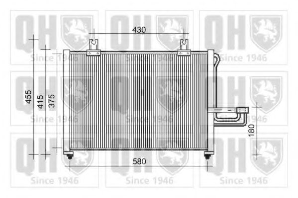 QUINTON HAZELL QCN529